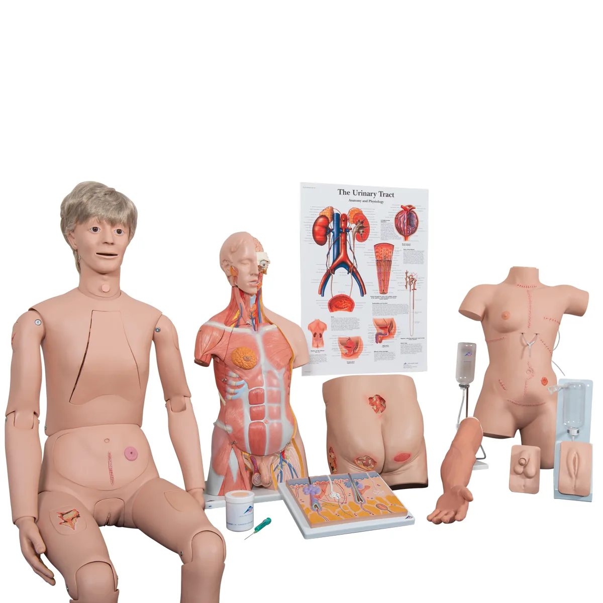 Medical Teaching Equipment